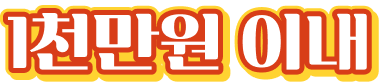 1천만원 이내