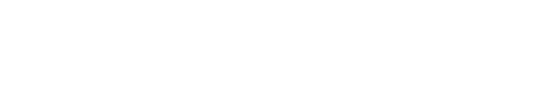 bizconnecting