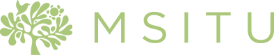 므시뚜 - MSITU