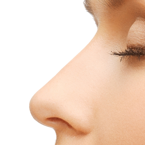 Nose