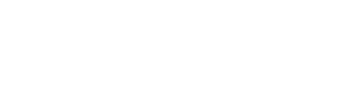 Director clinic