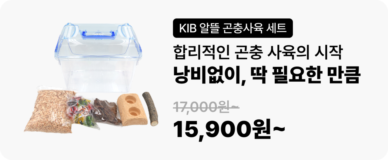 곤충 사육용품