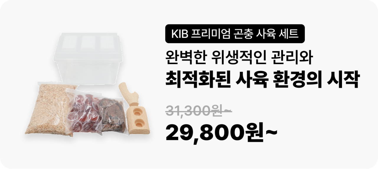 곤충 사육용품