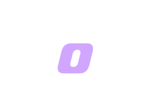 서울레이스