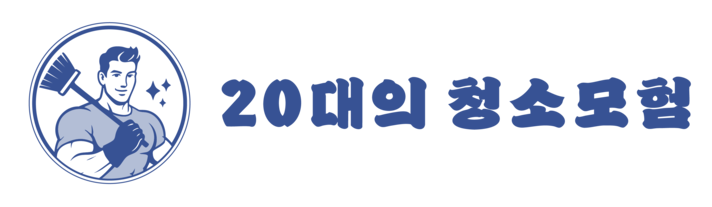 20대 청소모험