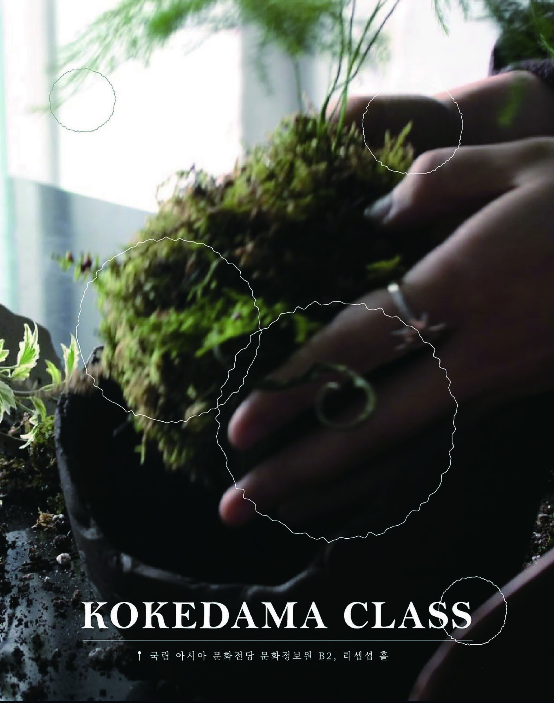 2025 | Korea Craft Week Special Class: Kokedama class