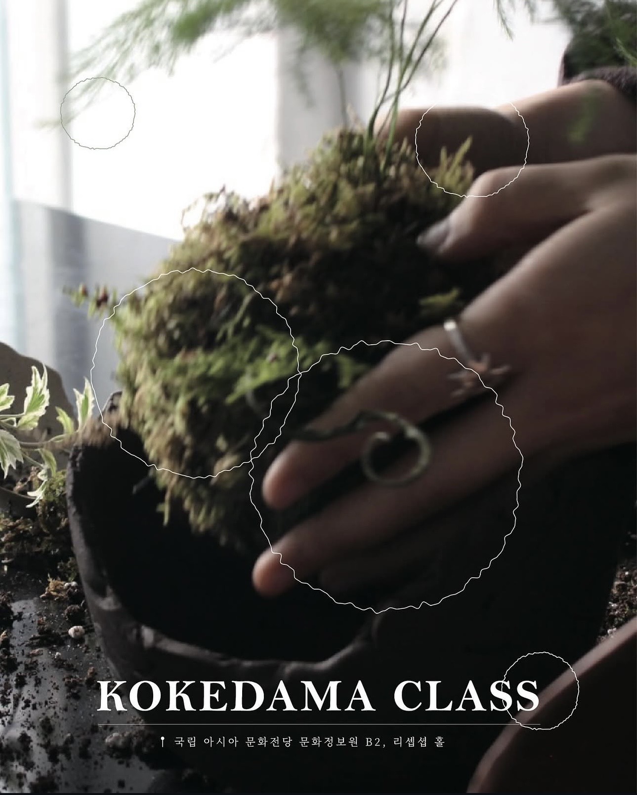 2025 | Korea Craft Week Special Class: Kokedama class