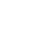   CKAN