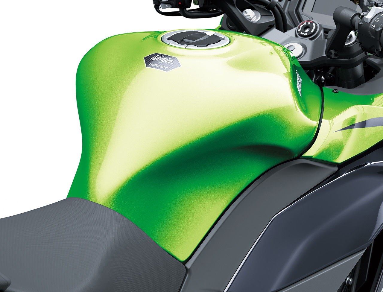 Ninja 1100SX 이미지