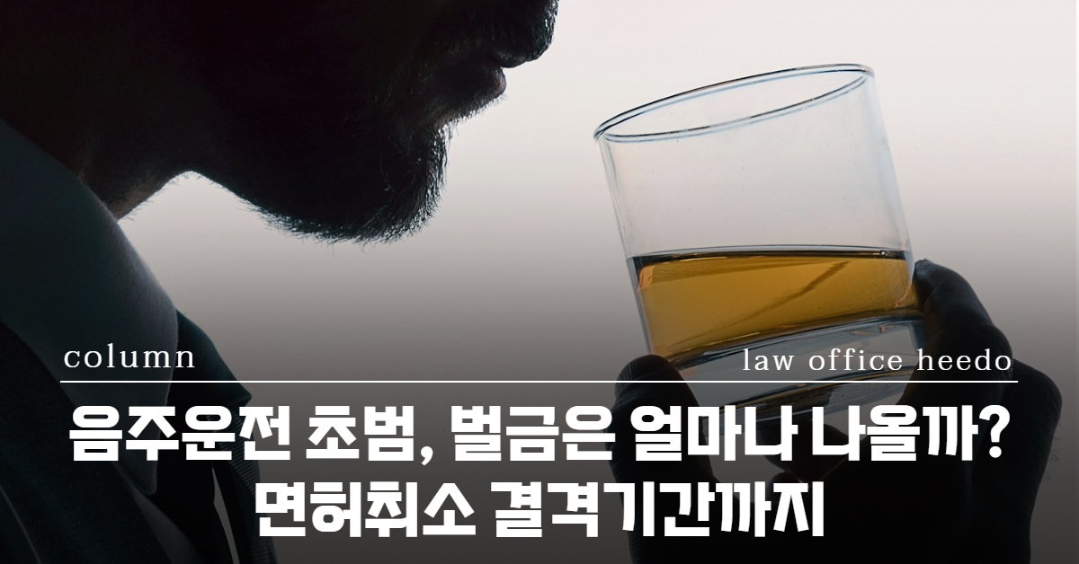음주운전, 음주운전 변호사, 음주운전 초범, 음주운전 경찰조사, 음주운전 벌금, 음주운전 면허취소, 음주운전 면허, 음주운전 구속