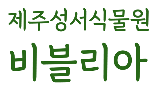 제주성서식물원 비블리아