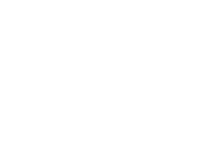 Siamo snap