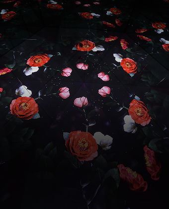 FLOWER CAMELLIA UNDERWATER, 물속에서 피어나는 신비롭고 강인한 생명력. - 아르떼뮤지엄 강릉