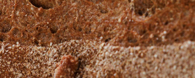 HEALTHY BREAD
