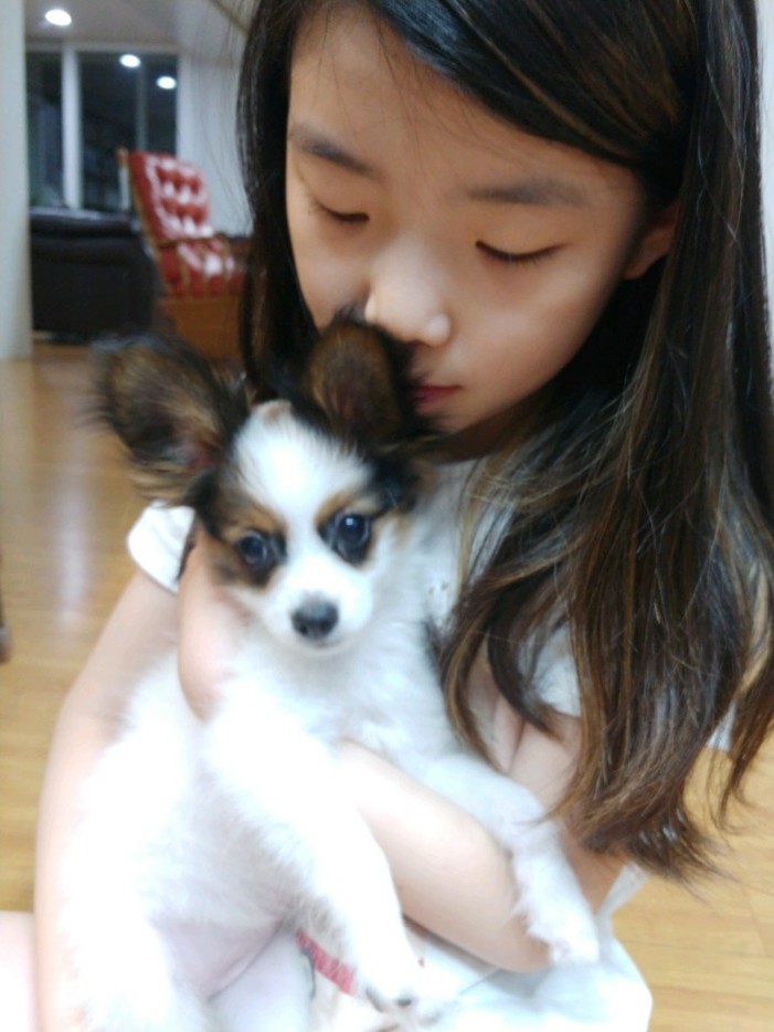 빠삐용분양 후기 실제 후기 사진