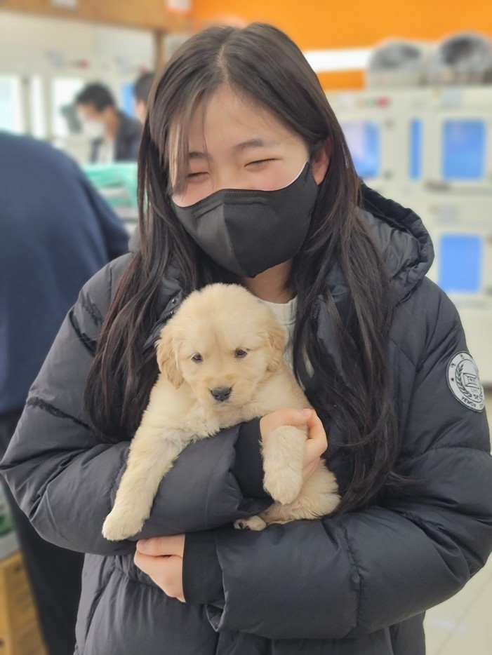 골든두들분양 후기 실제 후기 사진