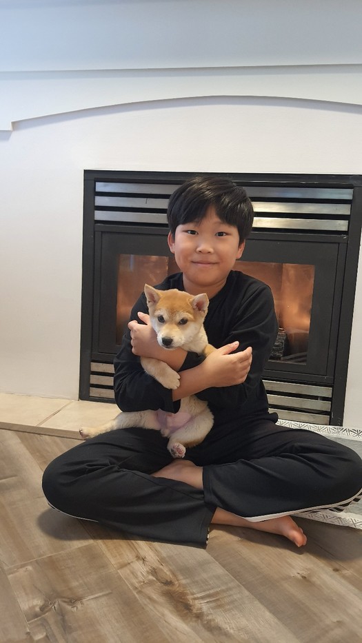 시바이누분양 후기 2탄 실제 후기 사진
