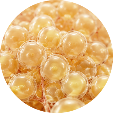 Fat tissue research image 2