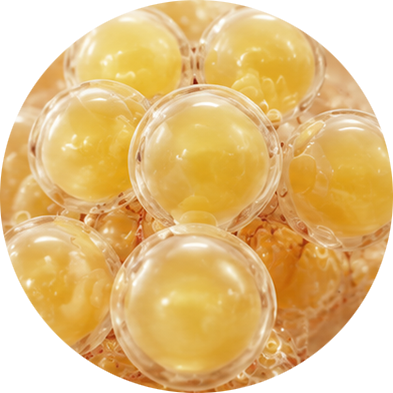 Fat tissue research image 1
