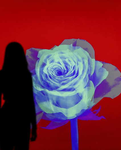 FLOWER ODYSSEY, 꽃의 서사시 - 아르떼뮤지엄 여수