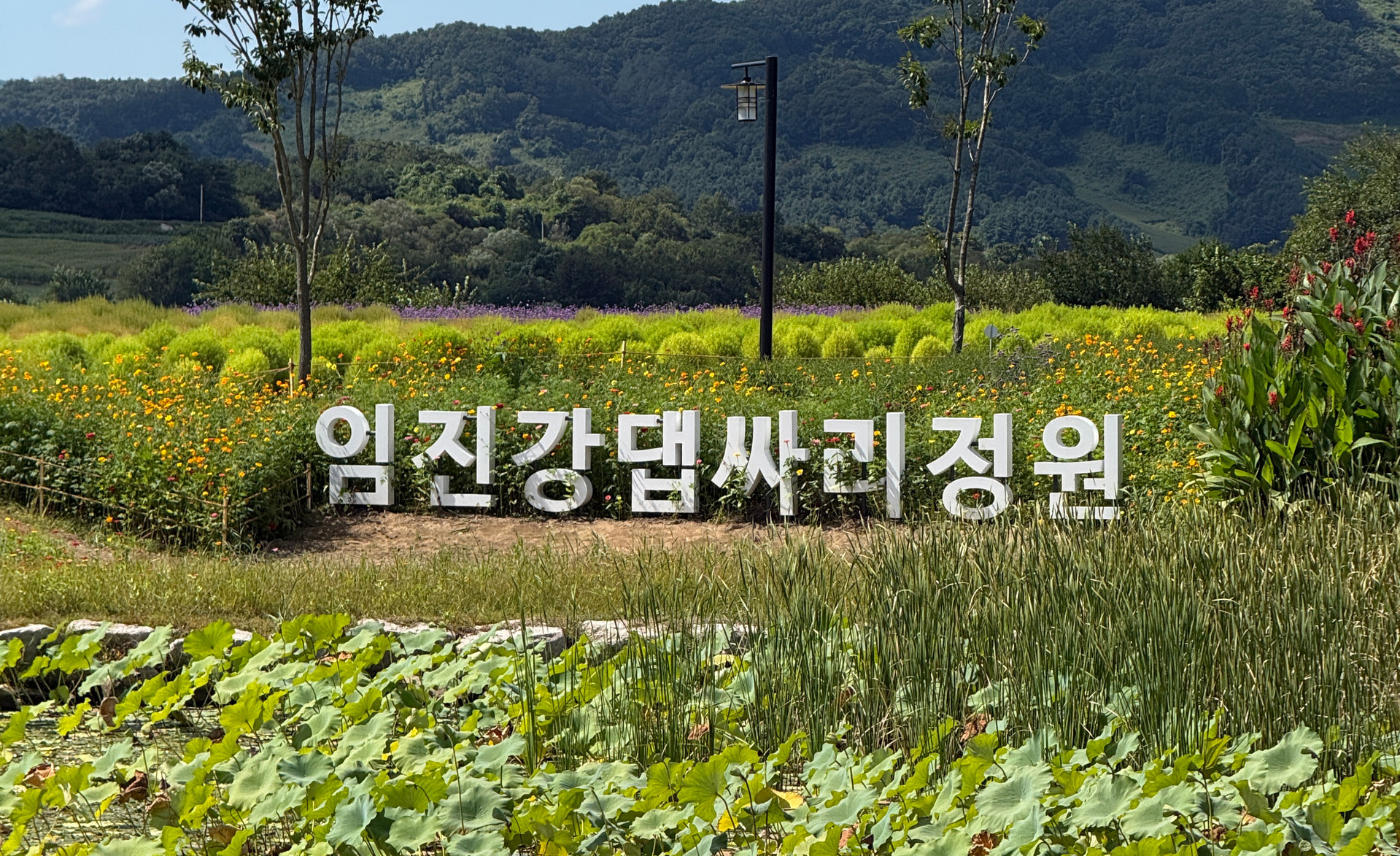 댑싸리정원