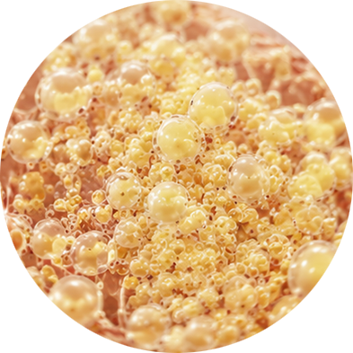 Fat tissue research image 3