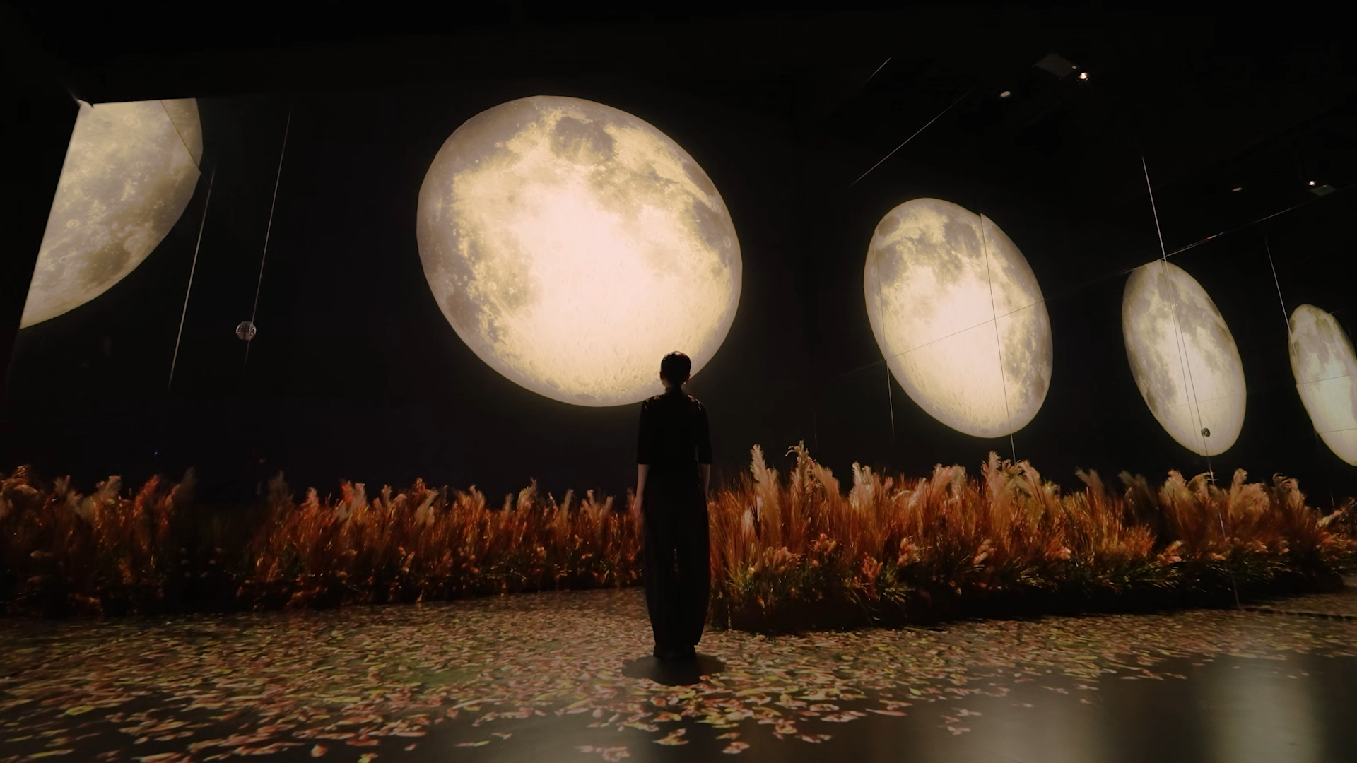 SUPER MOON - 아르떼뮤지엄 강릉, Coming Soon