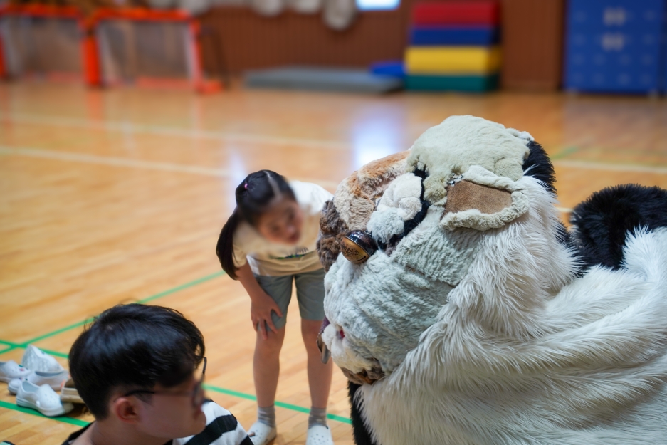 **알트태그:**   강아지탈 해피와 눈을 맞추며 가까이에서 살펴보는 어린이