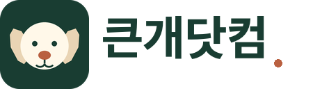 큰개닷컴