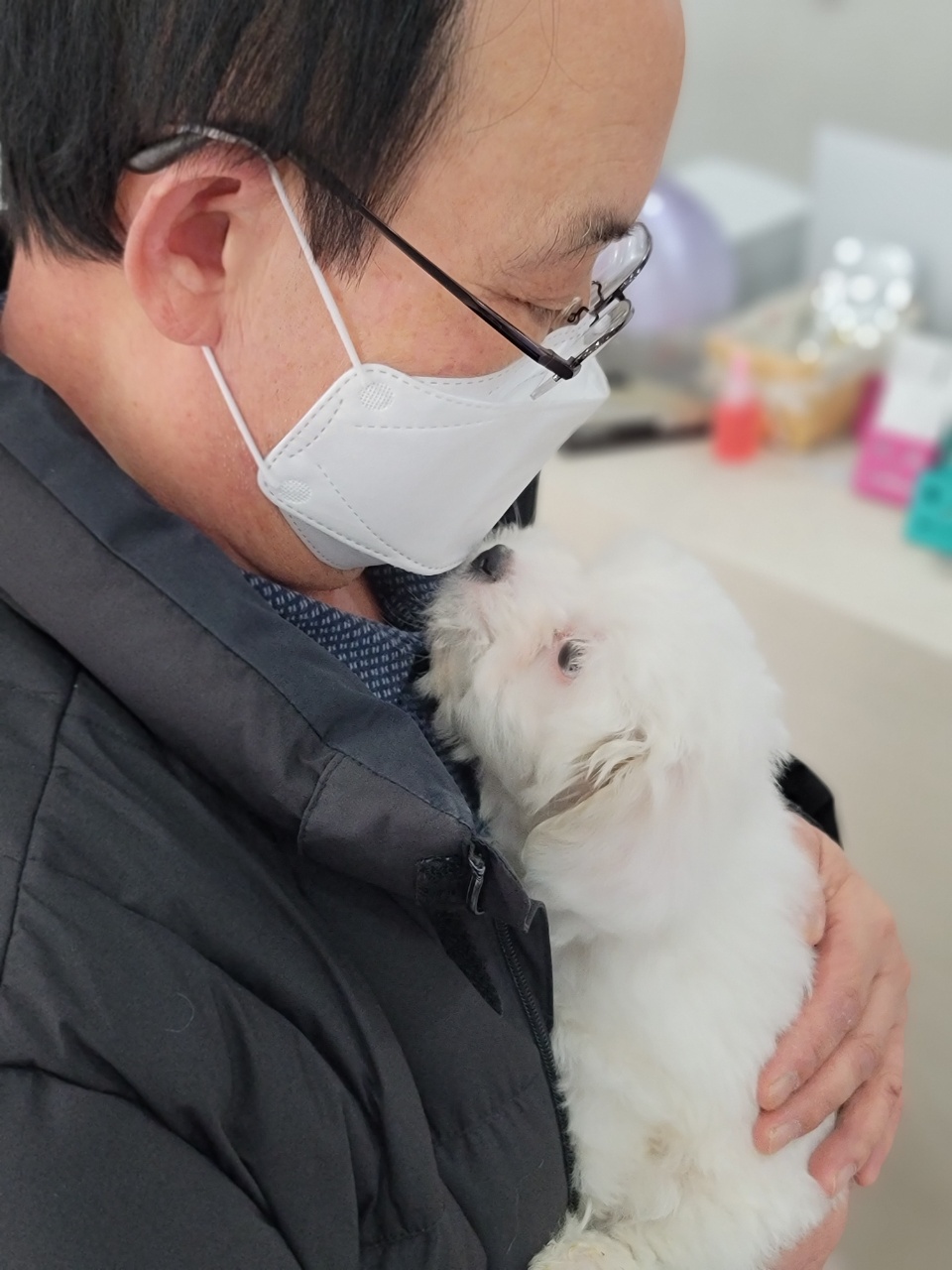 꼬똥드툴레아분양 클럽 분양후기