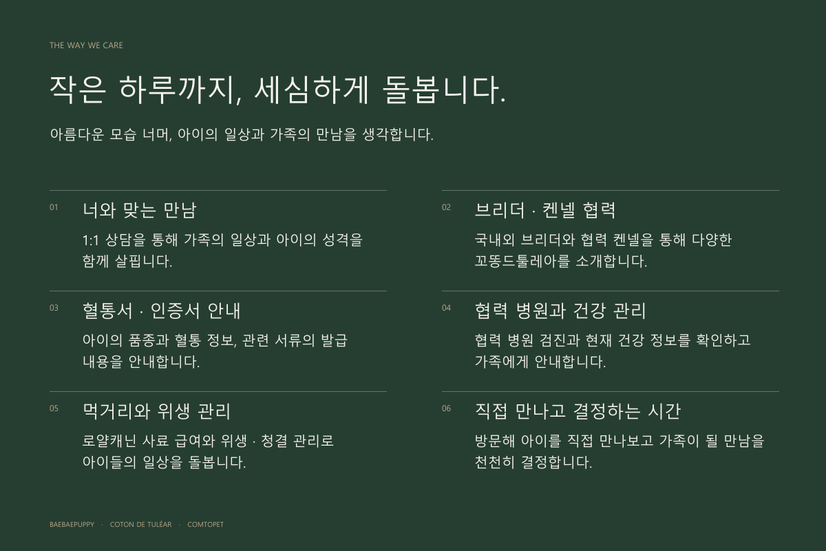 좋은 만남은 보이지 않는 정성에서 시작됩니다. 가족에게 맞는 일대일 매칭, 국내외 브리더·켄넬 협력, 혈통서와 증명서 안내, 협력 동물병원과의 건강 관리, 로얄캐닌 급여와 청결 관리, 아이를 직접 보고 결정하는 만남.