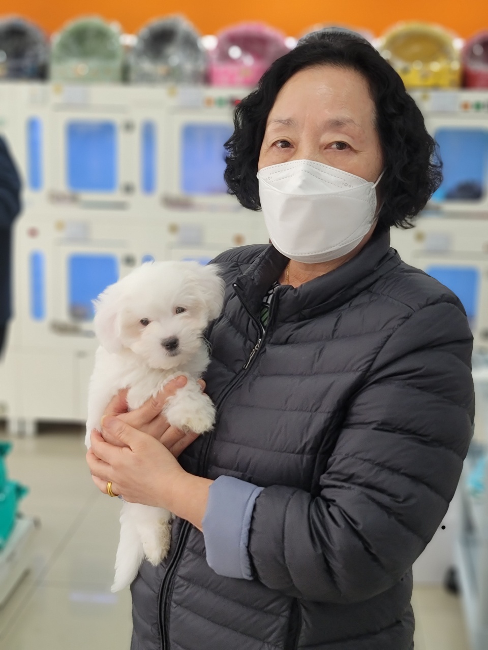 이쁜 꼬똥드툴레아 가족이 되신걸 환영합니다!