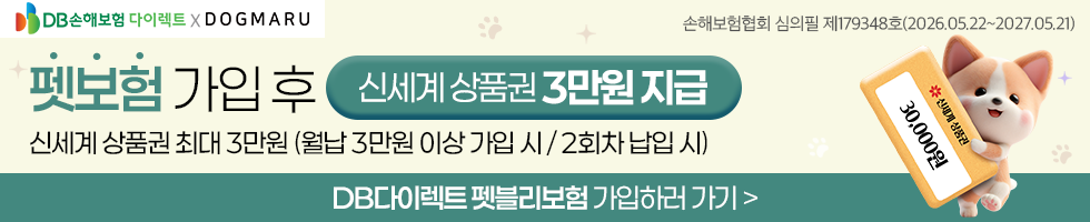 DB다이렉트 펫블리보험 펫보험 가입 후 신세계 상품권 3만원 지급