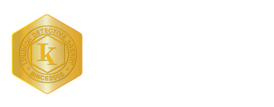 LK한국탐정아카데미 CI (화이트)
