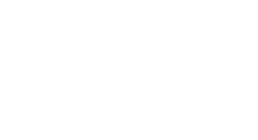 Noella is Brave 노엘라이즈브레이브