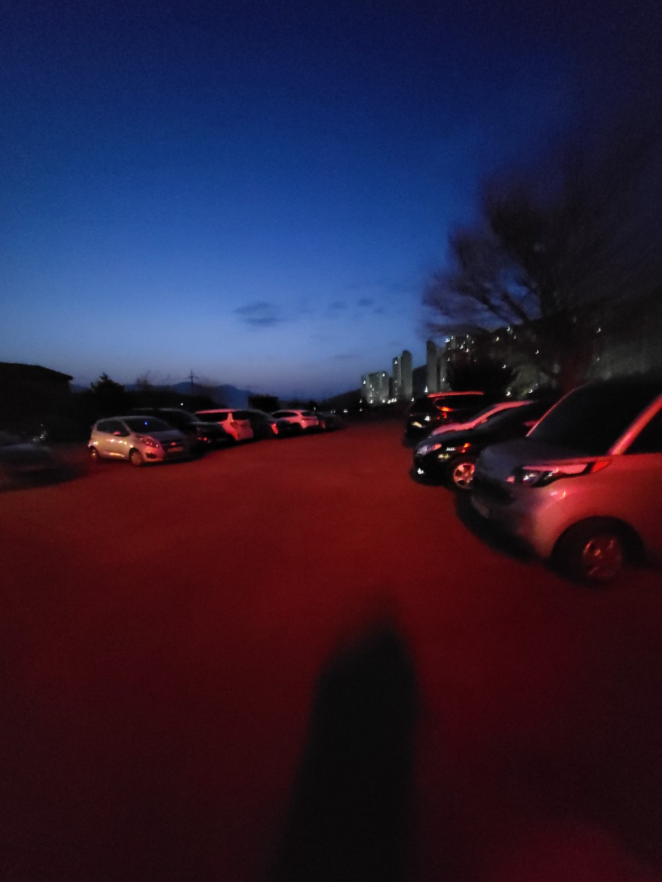 083b62213df49.jpg