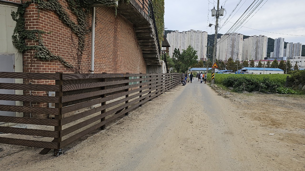 3135714aa74cd.jpg