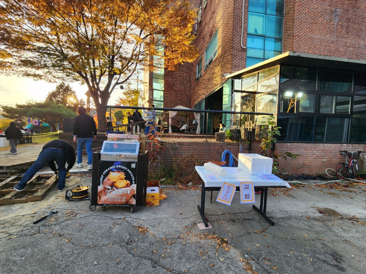 6815bb8223a7b.jpg