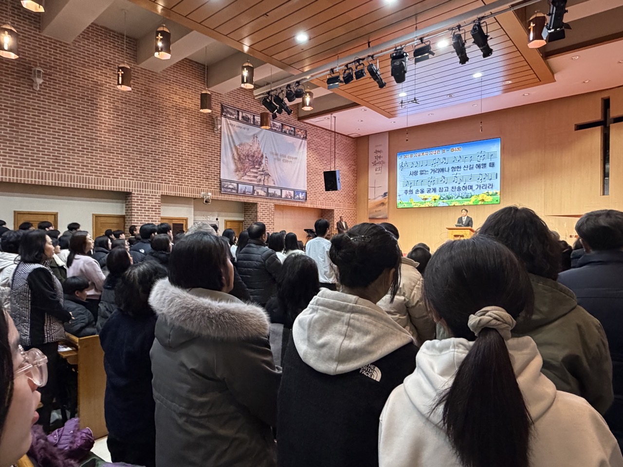d4b373cf44772.jpg