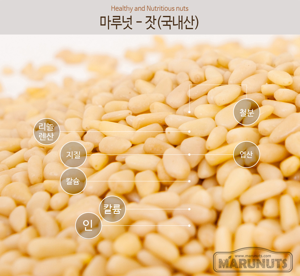 잣 국내산 가평잣