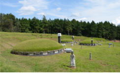 65d927167c755.png