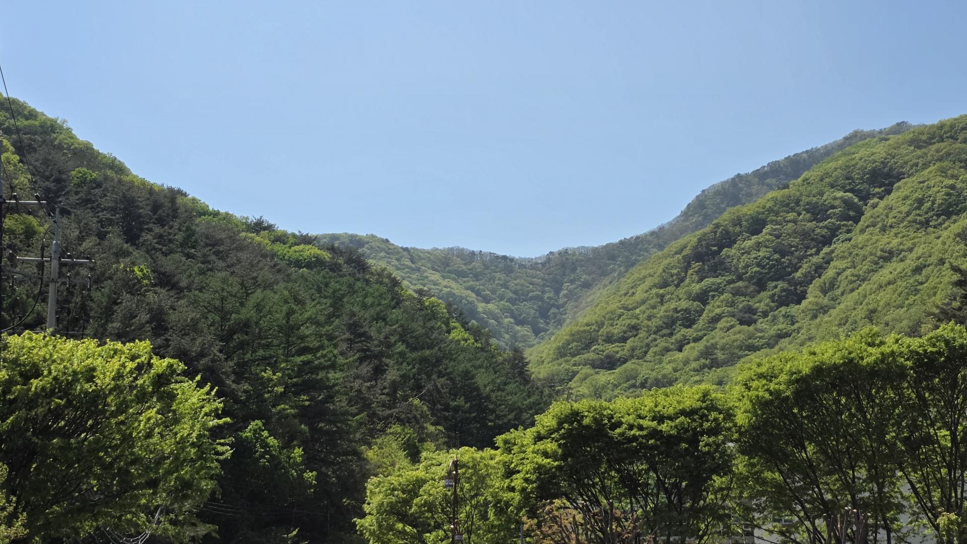 a3d1108083aaf.jpg