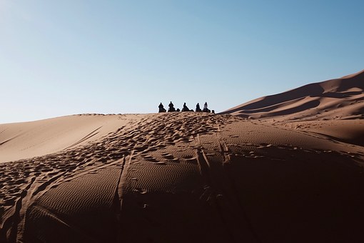 5864b74c767de.jpg