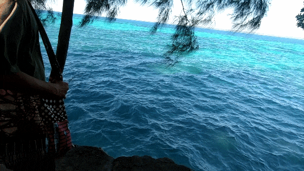 2a7f61582613a.gif