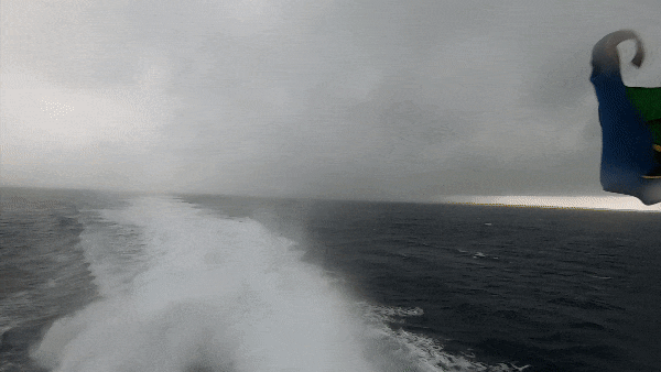 32c39a710a984.gif