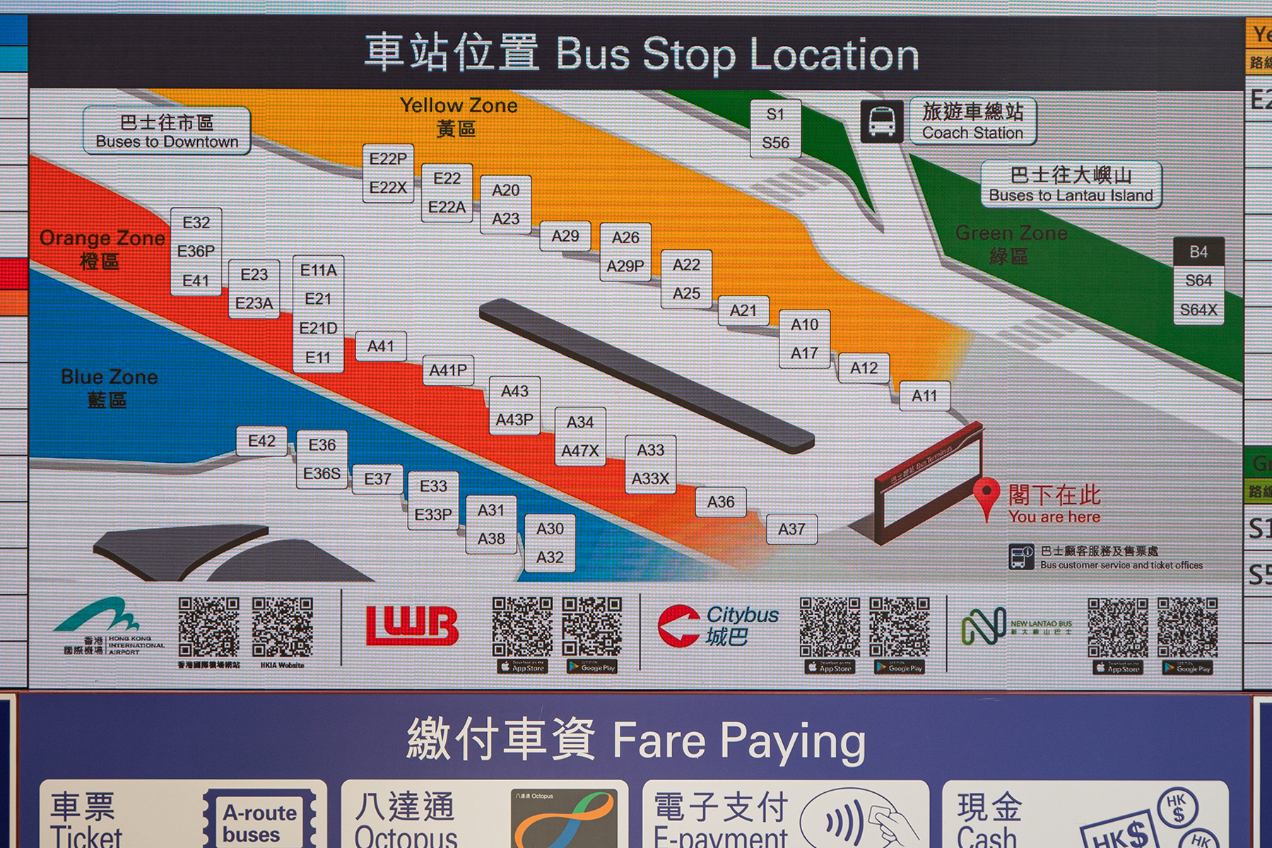 3f452bf4c703a.jpg