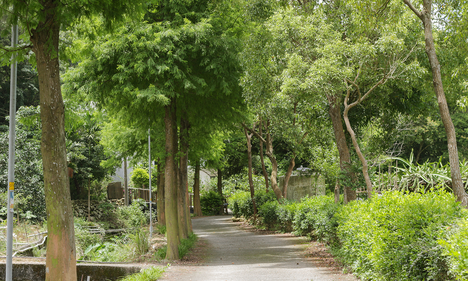 대만여행, 먀오리현 대만먀오리현