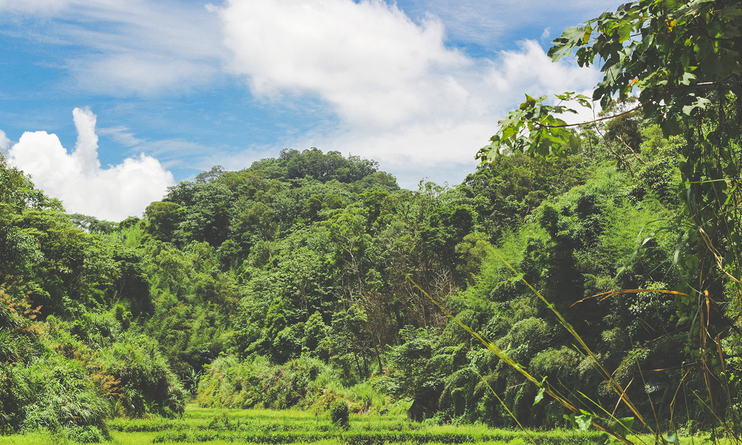 대만여행, 대만가볼만한곳, 대만여행추천, 대만먀오리현, 대만여행지추천, 대만여행코스, 대만중부여행, 대만기차여행, 대만여행지, 대만여행지추천, 먀오리현, 대만먀오리현