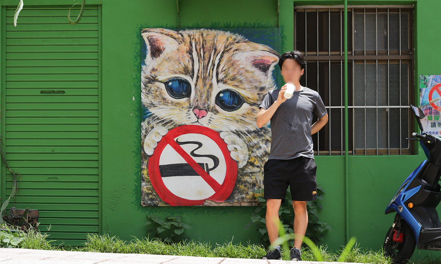 대만여행, 먀오리현, 대만먀오리현