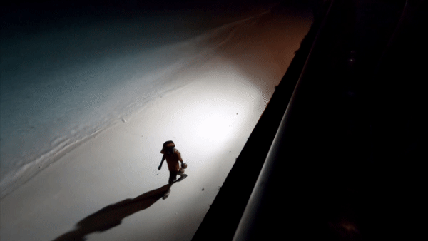 adbde97535a24.gif